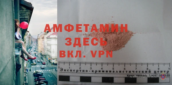 гидра Ельня