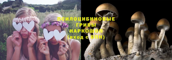 стаф Елабуга