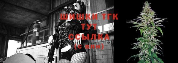 гашик Инта
