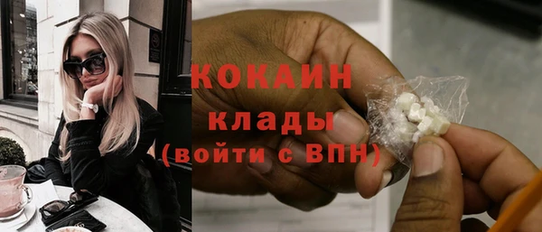 гашик Инта