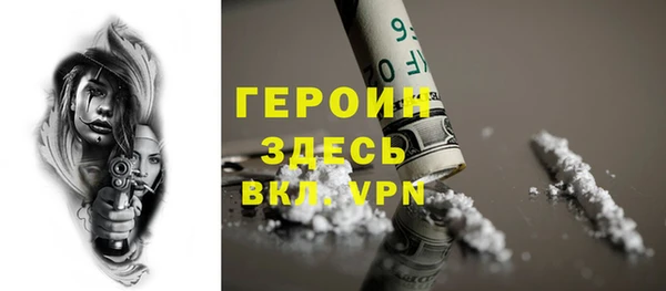 гидра Ельня