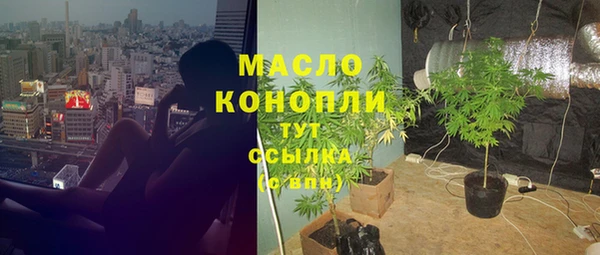 гашик Инта