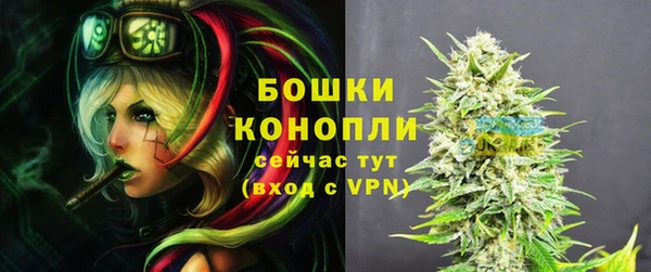 гашик Инта