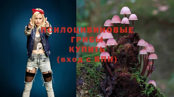 меф Инсар