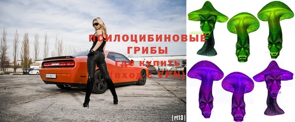 PSILOCYBIN Заводоуковск