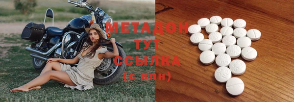 гидра Ельня