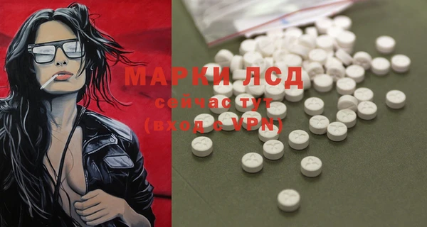 гашик Инта